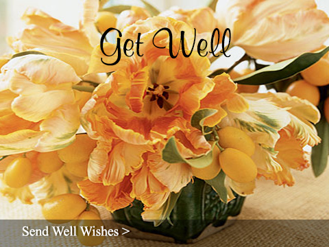 Send Get Well Flowers Anywhere - Sun City Florist & Gifts