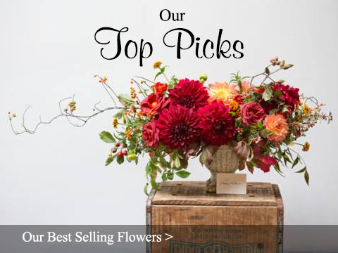 Our Best Selling Flower Arrangements - Sun City Florist & Gifts
