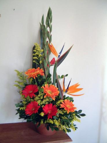 Thanks/Gerbs,Glads,Birds of Paradise