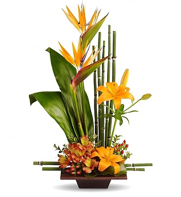 Excel/Lilies,Alstro,Protea,Bird of Paradise