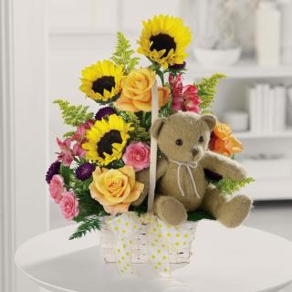 Teddy Bear Garden/Sun flowers,Roses,Alstro,Solidego
