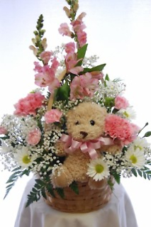 Infant Basket/Carnations, Snaps, Daisies