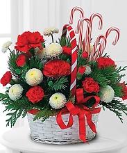 Christmas Joy/Carnations,Buttons,Candy Canes