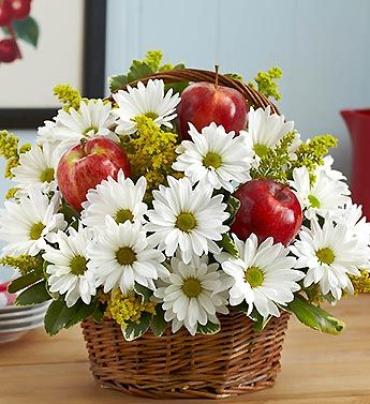 Apple Of My Eye/Daisies,Solidego,Apples