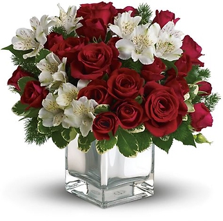 Snowy Night/Roses,Alstro