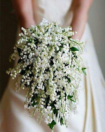 Adorable/Stephanotis,Lily Of The Valley