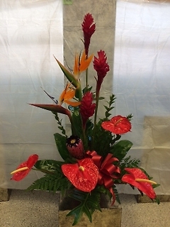 Fancy/Ginger,Protea,Anthurium,Bird of Paradise