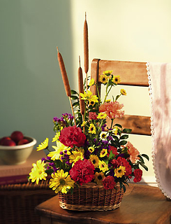 Feast/Carns,Daisies,Cat Tails,Statice