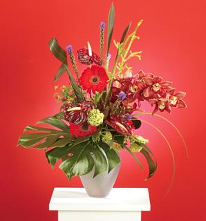 The Tropics/Orchids,Anthurium,Liatris,Gerbs