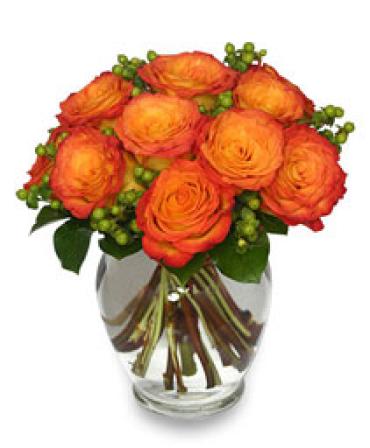 Colorful Flames/9 Roses/Hypericum
