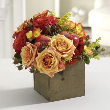 Happy Harvest/Apple,Roses,Solidego,freesia