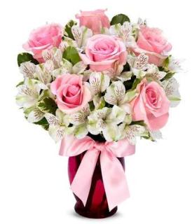 Pink And Pretty/6 Roses/Alstro