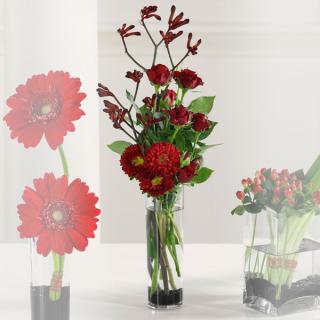 Red Arrangement in Cylinder Vase/Kangaroo-Paw-Asters,Roses,Matsu