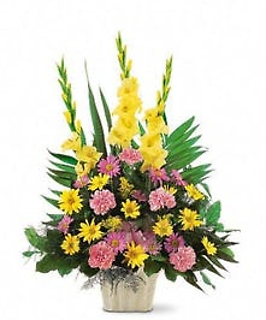 A Funeral Basket/Glads,Carns,Daisy,Solidego