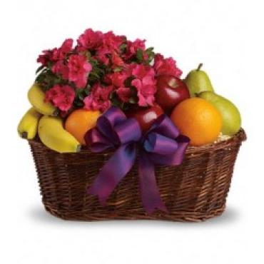 Fruit and Bloom Basket/CLICK FOR INFORMATION