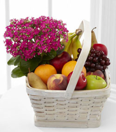 One Fruit and Bloom Basket/CLICK FOR INFORMATION