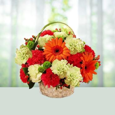 Shining Surprise/Carnations,Gerbs,Buttons/Hypericum
