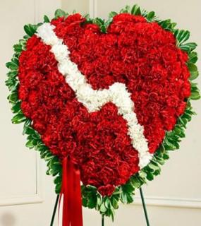 12\" Broken Heart/All Carnations