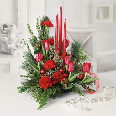 Santa\'s Surprise/Carnations,Tulips