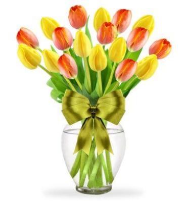Bright Day/Tulips