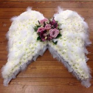 Angel Wings/Cushions,Roses