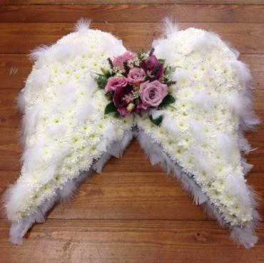 Angel Wings/Cushions,Roses