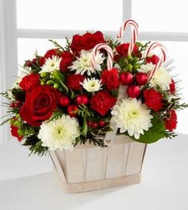 Christmas Awe/Roses,Cushions,Carnations,Candy Cane