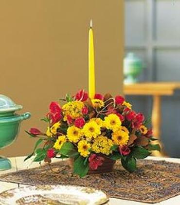 Fall Bliss/Buttons,Alsto,Yarrow