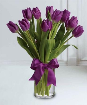 Passionate Purple/Tulips