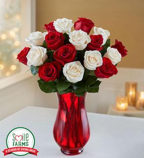 Peppermint Roses/Red Roses,White  Roses