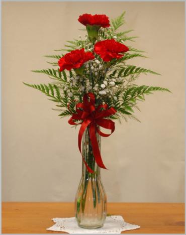 Simple Love/Carnations