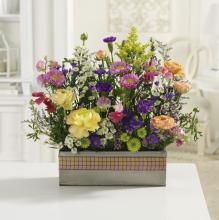 Wildflower Garden/Carns,Buttons,Solidago,Motsumoto,Monte