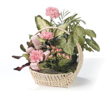 Basket of Joy/Carnations 10\"