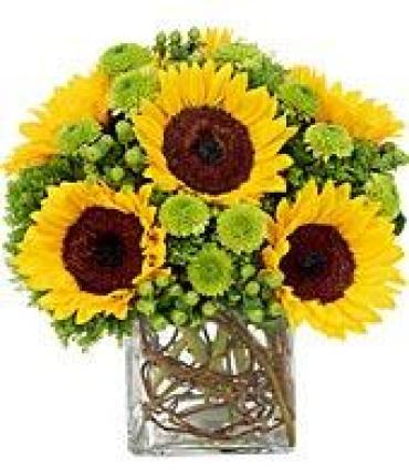 Sunflower Surprise/Gerbs,Buttons,
