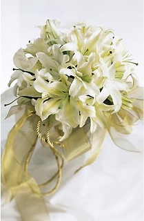 White Wonders/Hybrid Lilly