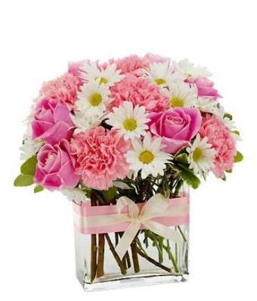 Mother Pretty In Pink/Roses,Daisy,Carnations