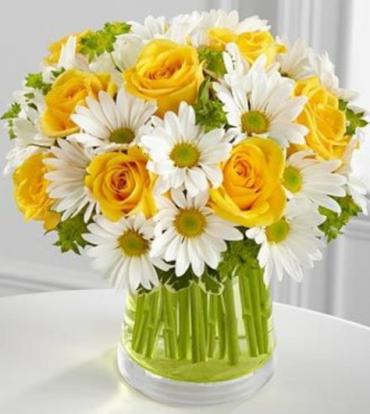 Bright Sunny Day/Roses,Daisies