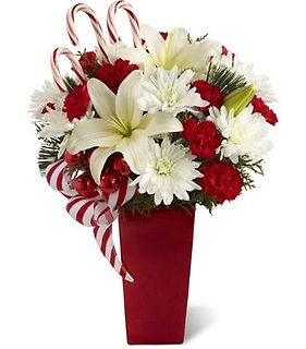 A Christmas Love/Lily,Carnations,Cushions,Candy Cane