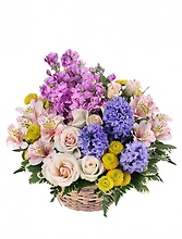 Fragrant Garden/Hyacinth,Stock,Alstro,Minni Roses,Buttons