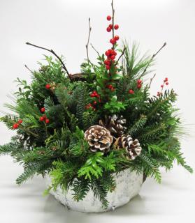 A Bright Christmas/Christmas Greenery,Berries