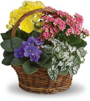 Spring Basket