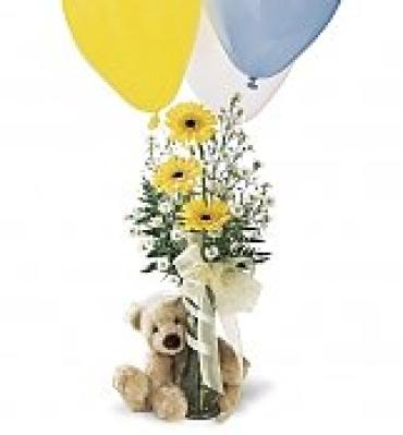 Bear,Vase and Balloons/CLICK FOR INFORMATION