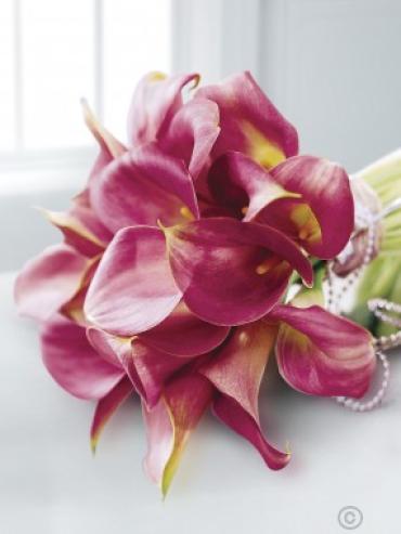 Matrimony Bouquet/Mini Calla Lilies