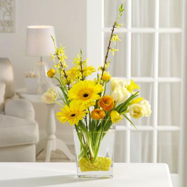 Yellow Fever/Gerbs,Daffodils