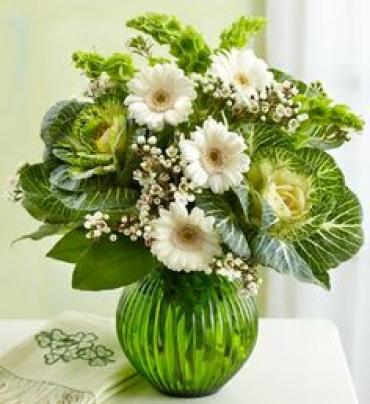 St. Patrick/Bells Of Ireland,Gerbera,Wax,Succulent