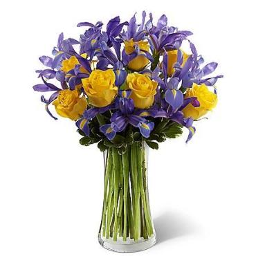 Sunlit Treasure/Iris,Roses