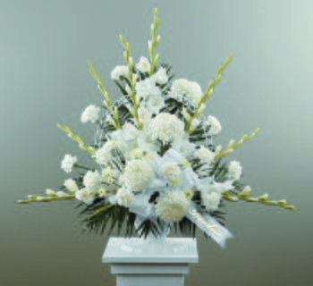 Dignity In White/Gladiolus,Football Pompoms