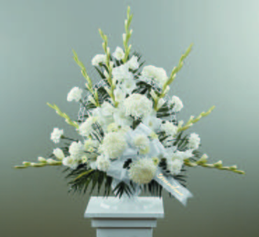 Dignity In White/Gladiolus,Football Pompoms