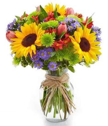 Mother\'s Day Floral Garden/Sunflower,Buttons,Tulip,Alstro,Monte,