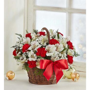 Christmas Blitz/Carnations,Alstromeria